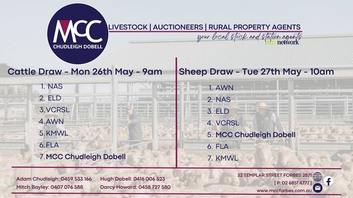 CWLE Forbes Sheep Sale 4.jpg