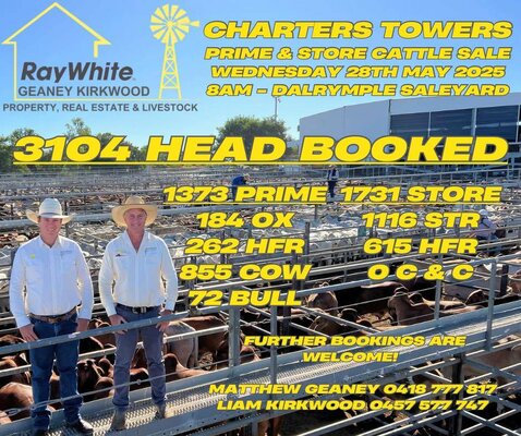 Charters Towers Cattle Sale 2.jpg