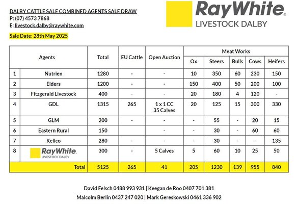 Dalby Cattle Sale.jpg