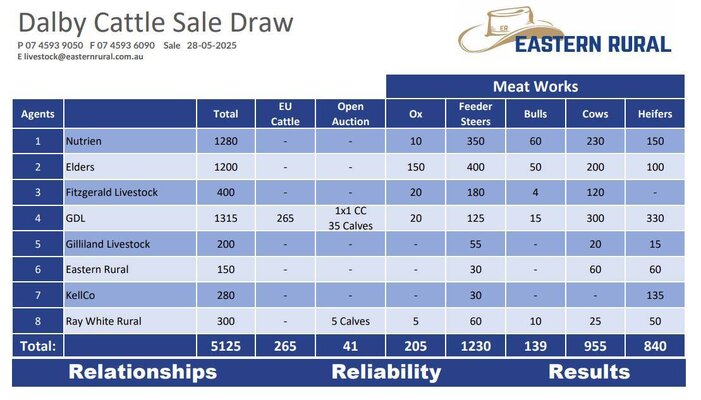 Dalby Cattle Sale 3.jpg