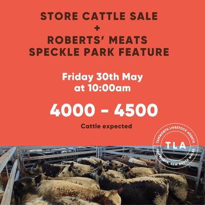  TRLX (Tamworth) Store Cattle Sale.jpg