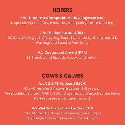  TRLX (Tamworth) Store Cattle Sale 6.jpg