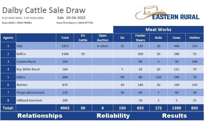 Dalby Cattle Sale 5.jpg