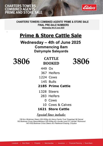 Charters Towers Cattle Sale.jpg