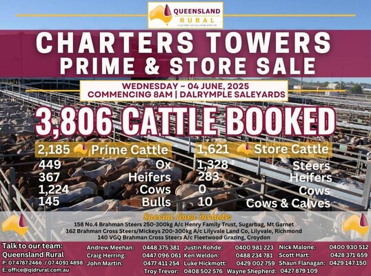 Charters Towers Cattle Sale 2.jpg