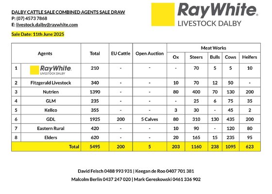 Dalby Cattle Sale.jpg