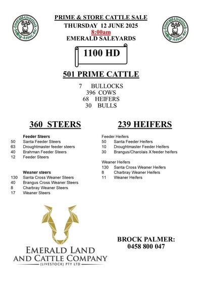 Emerald Store Cattle Sale.jpg