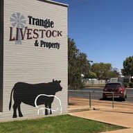 Trangie Livestock & Property