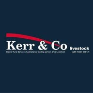 Kerr & Co Livestock